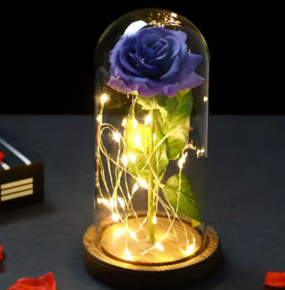 Eternal Love Rose in Glass Dome (Perfect for Mother's Day and Graduation!)