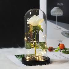 Eternal Love Rose in Glass Dome (Perfect for Mother's Day and Graduation!)