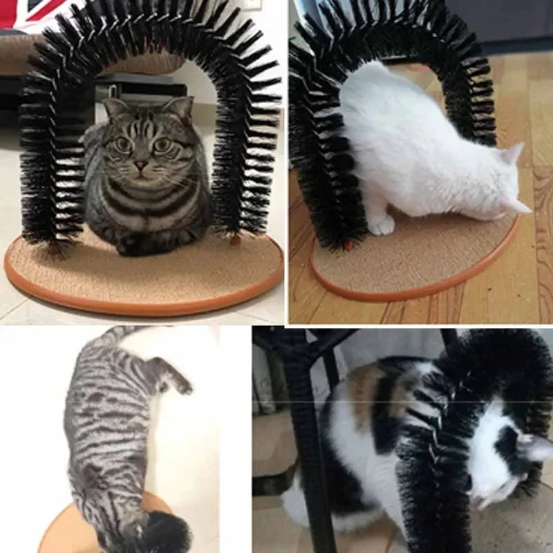 Feline Fun Grooming Arch